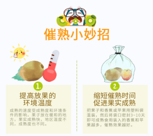 苹果版袋袋付
:一颗修文猕猴桃的食用和催熟自诉