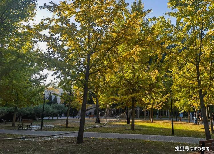 陆金所苹果版:IPO参考：顺德农商行IPO中止 陆金所控股将以介绍方式登陆港交所
