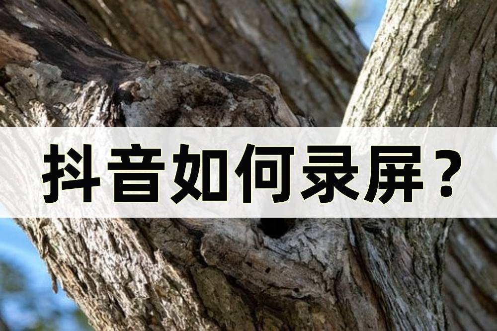 手机视频下载:抖音如何录屏？介绍三种方法