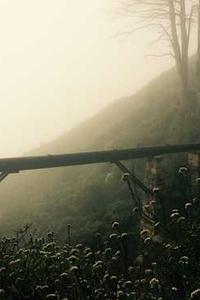 哈哈动漫手机版-第3张图片-太平洋在线下载 哈哈动漫手机版-第3张图片-太平洋在线下载