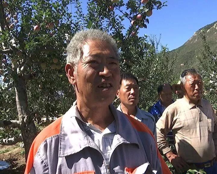 乐亭县苹果最新消息新闻河北唐山乐亭疫情最新消息今天