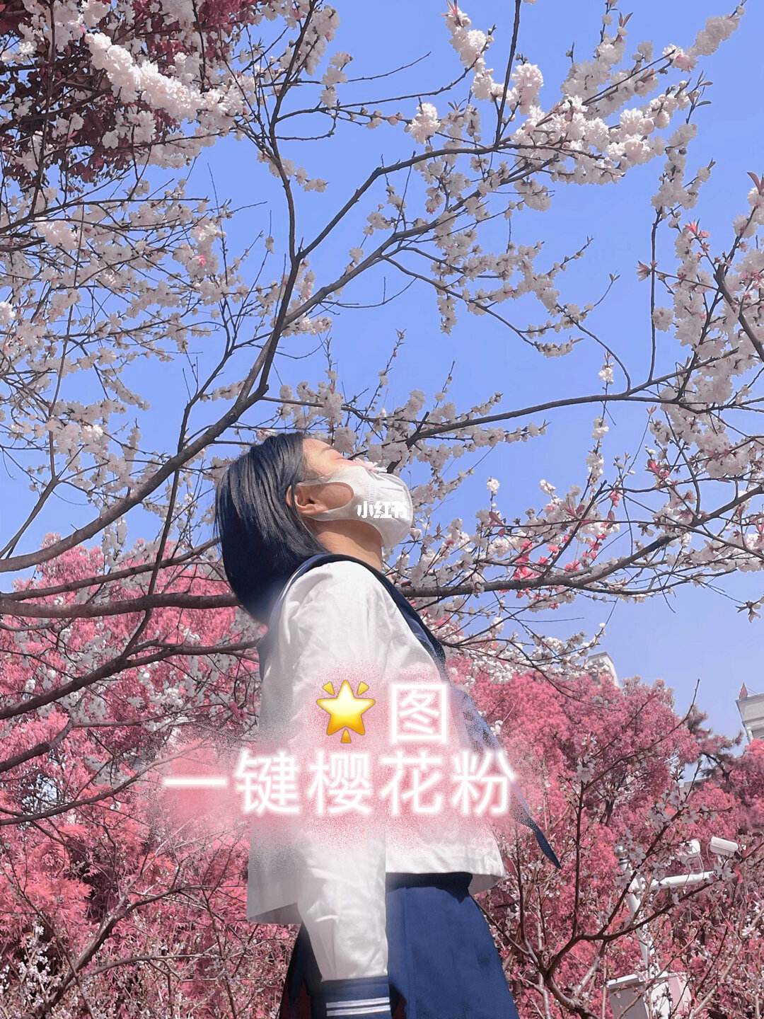樱花粉滤镜苹果手机版苹果手机怎么隔空投送app