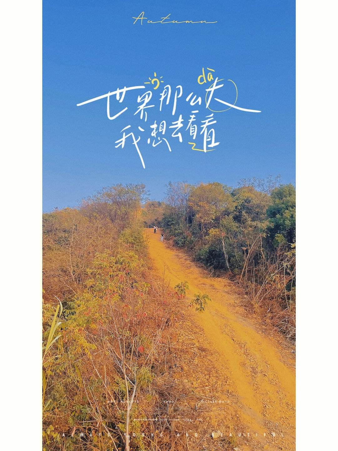 定位宝苹果版1元1次无需对方同意定位