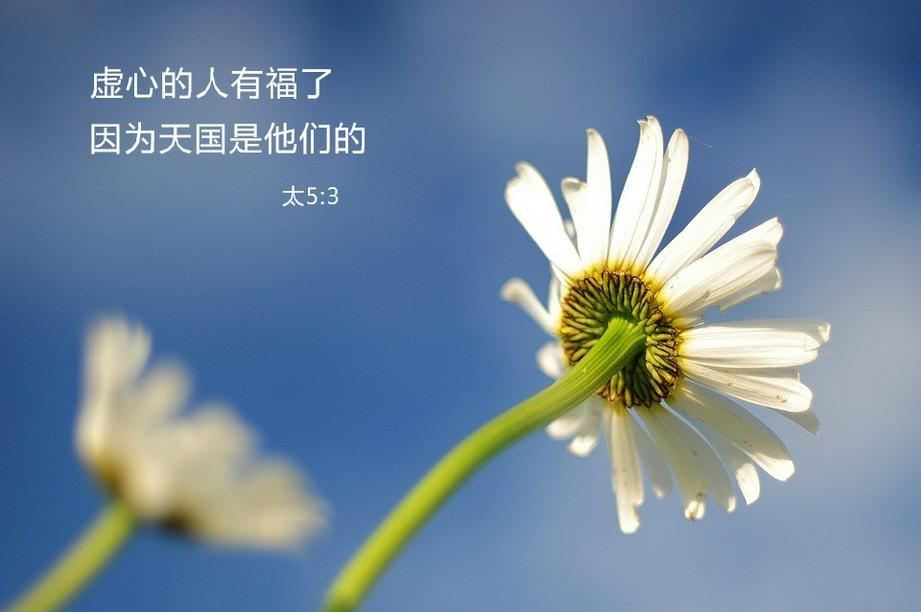 基督教手机资讯软件下载安装如来神涨普及版电脑版下载并安装