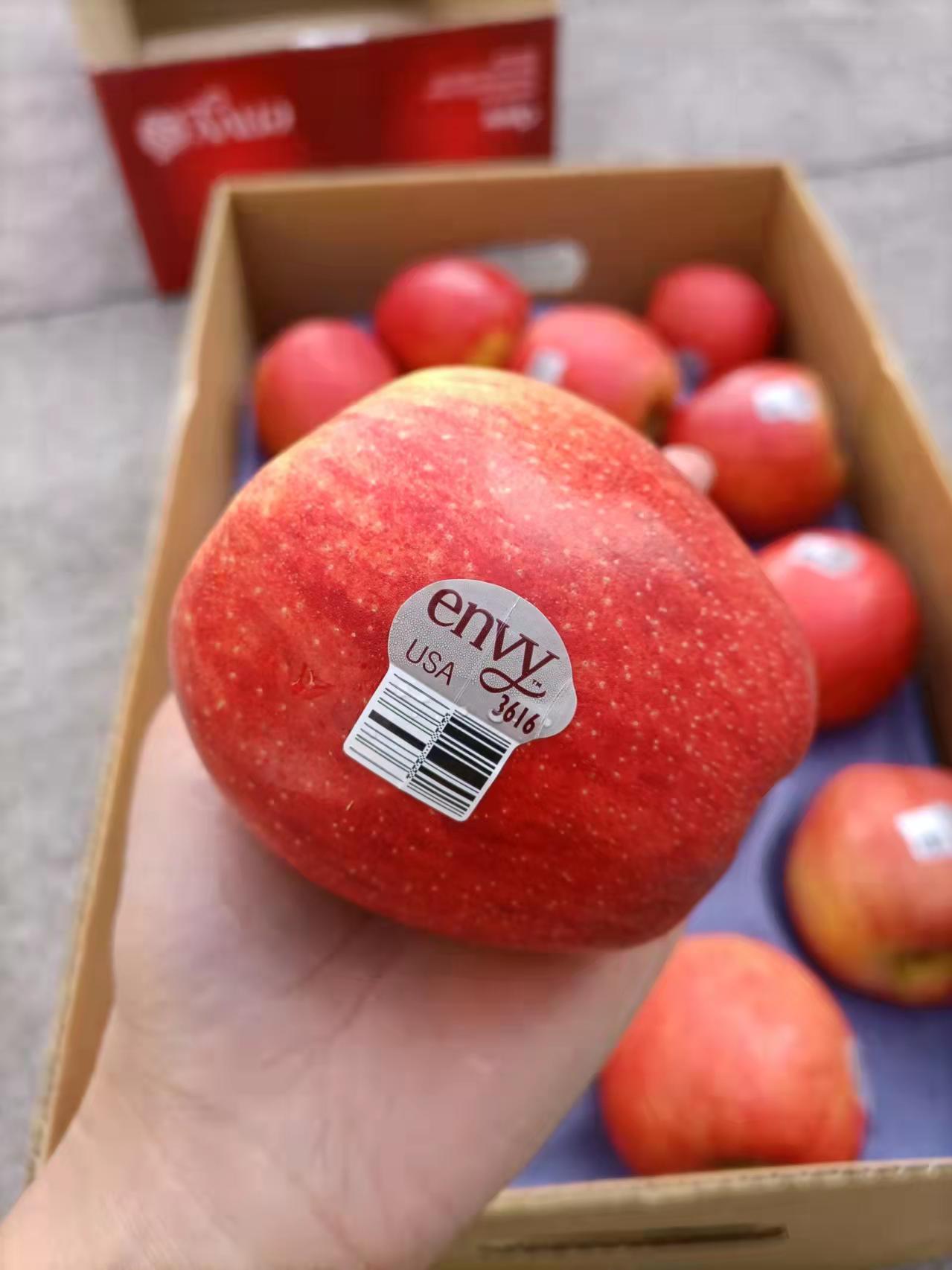 苹果vc是什么版进入iphone官网查序列号-第2张图片-太平洋在线下载