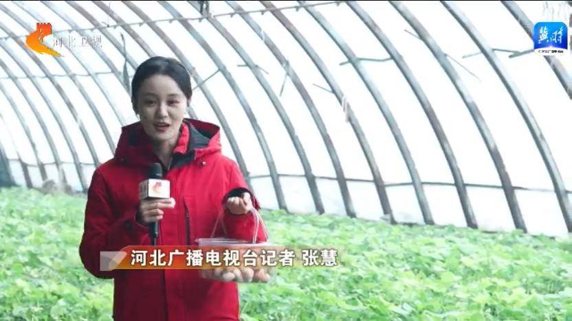 南宫新闻客户端南宫新闻联播视频