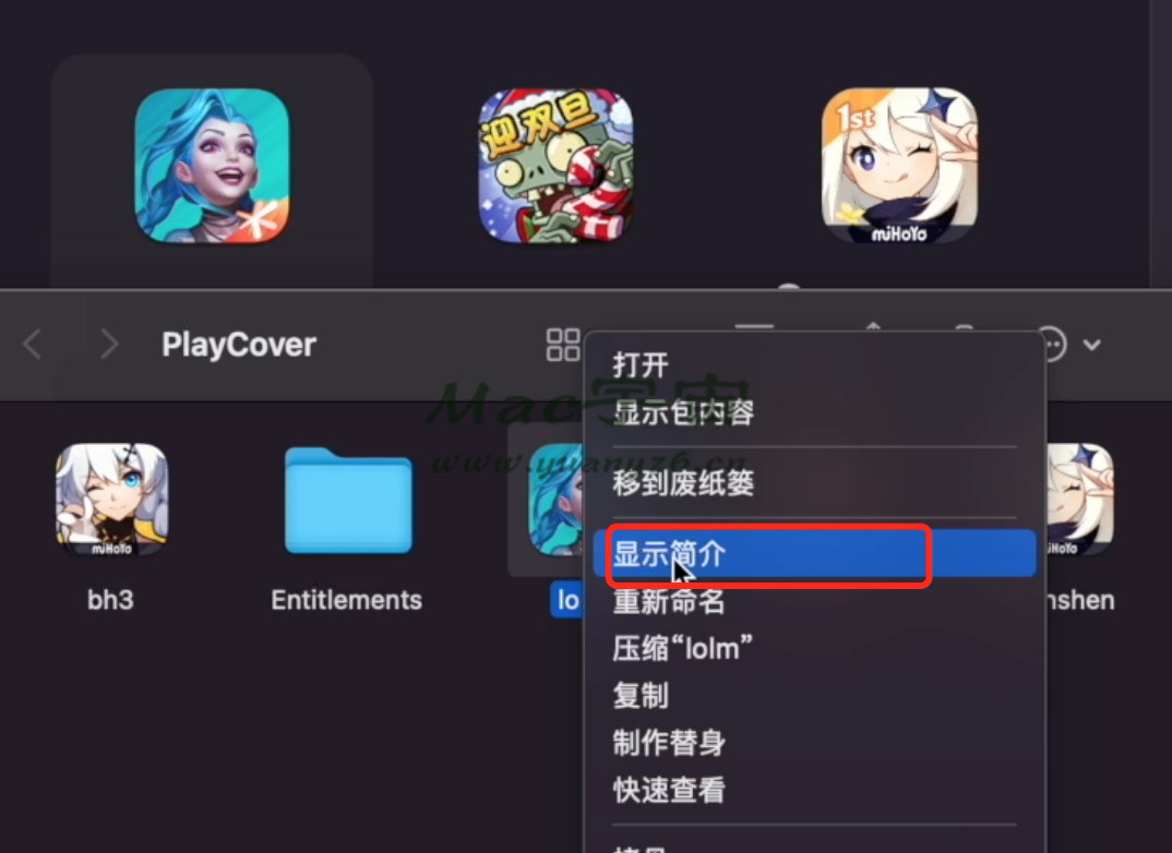 苹果版电脑王者王者荣耀ios电脑版