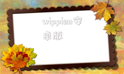 wippien安卓版pingpongchat安卓版