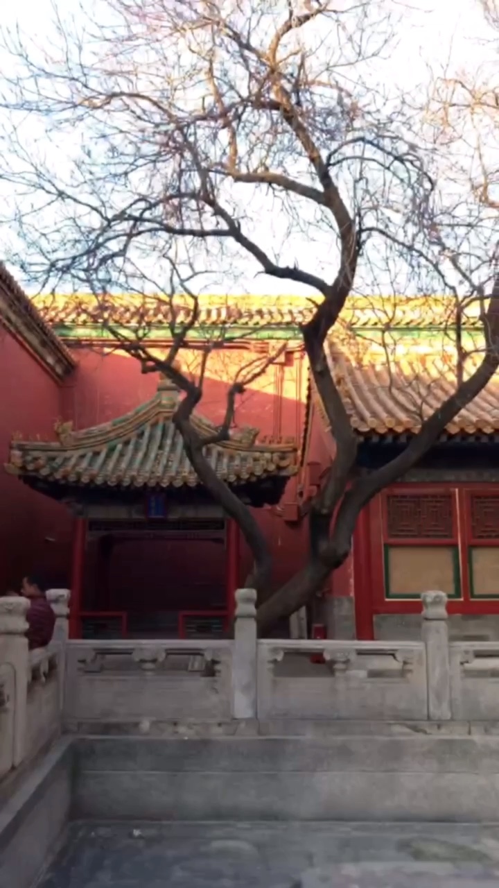 隆冬酱来自客户端12月是初冬还是隆冬-第2张图片-太平洋在线下载