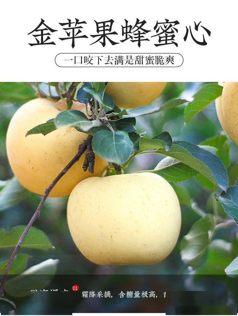 中亚棋牌苹果版十大电子游戏入口网站-第2张图片-太平洋在线下载