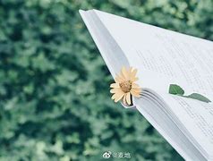 林祥影视苹果版绿点影视ios版