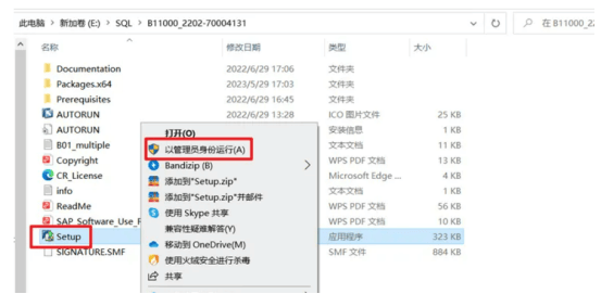 sap卸载客户端sadp软件官网下载-第2张图片-太平洋在线下载