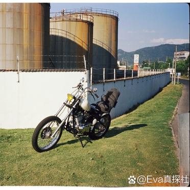 口袋盗贼高级版苹果口袋盗贼终极版汉化破解版
