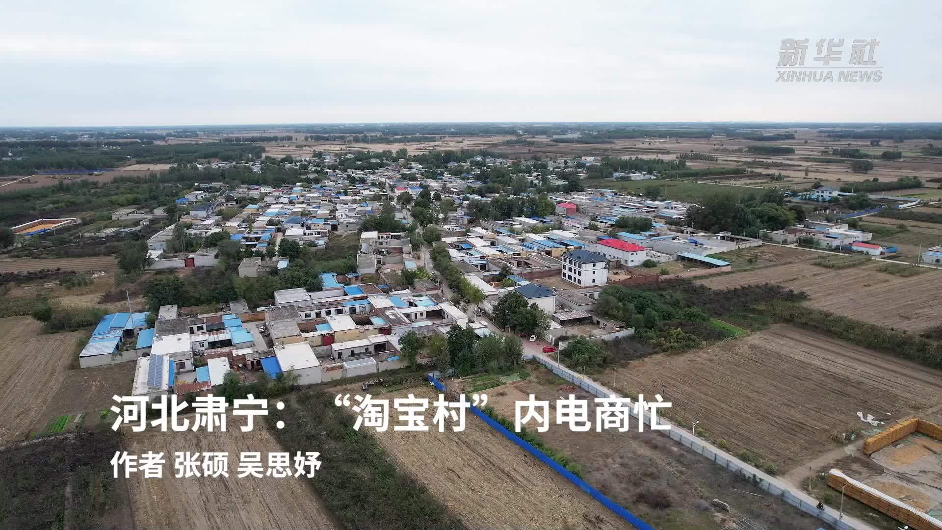 农村淘宝苹果版下载苹果手机如何下载事农小方