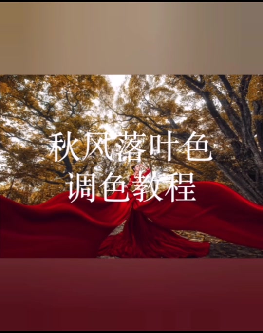 枫叶调色教程苹果版一片红枫叶教学ppt