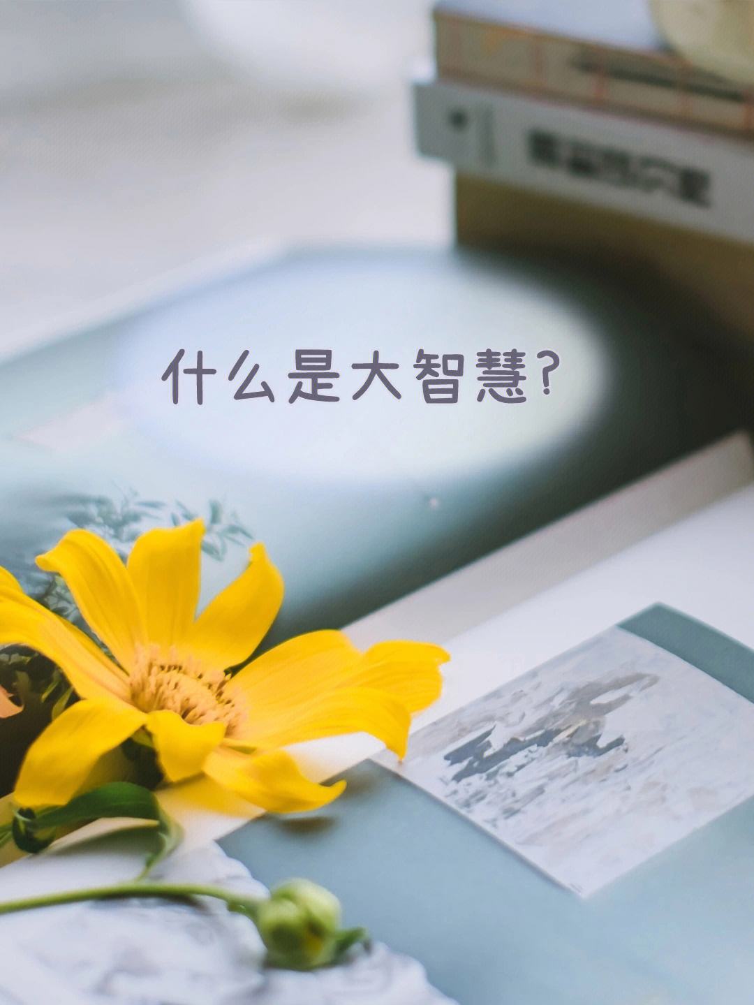 大智慧苹果手机版大智慧股票行情软件下载