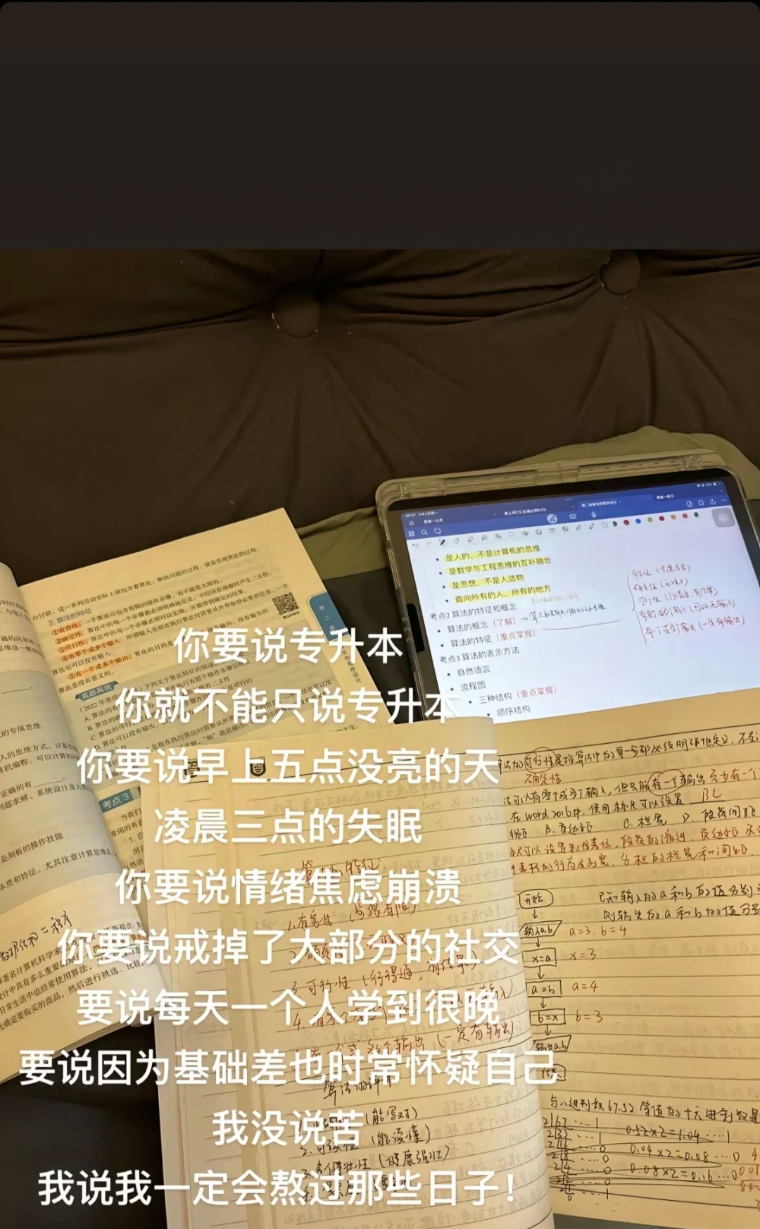 耶鲁专升本安卓版耶鲁专升本app电脑版登录网页版-第2张图片-太平洋在线下载
