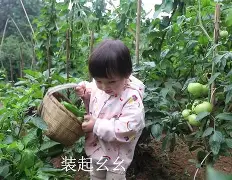 包含婷婷免费视频手机版在线的词条-第1张图片-太平洋在线下载