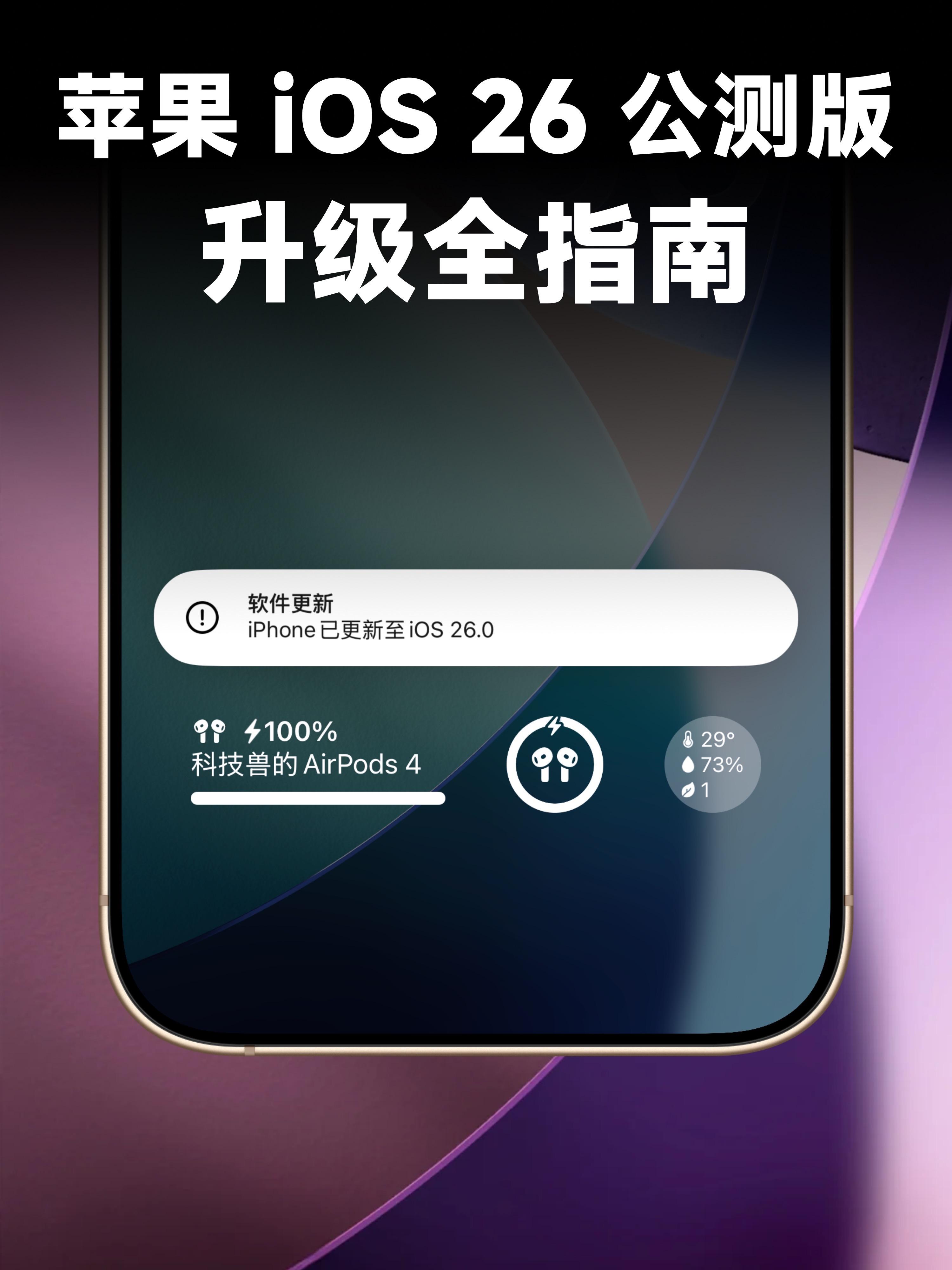 苹果安装公测版(ios公测版好还是正式版好)-第6张图片-有道翻译官网