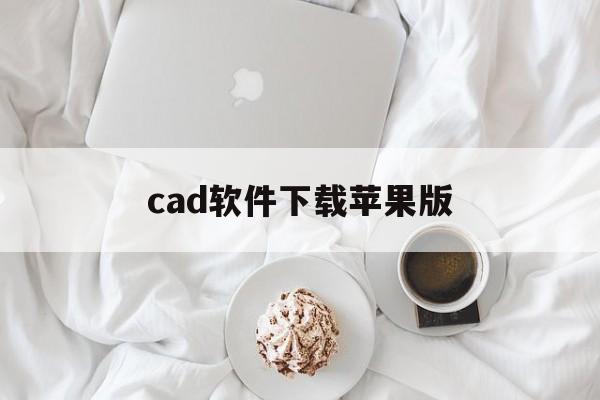 cad软件下载苹果版(cad2019苹果版本安装教程)-第12张图片-有道翻译官网
