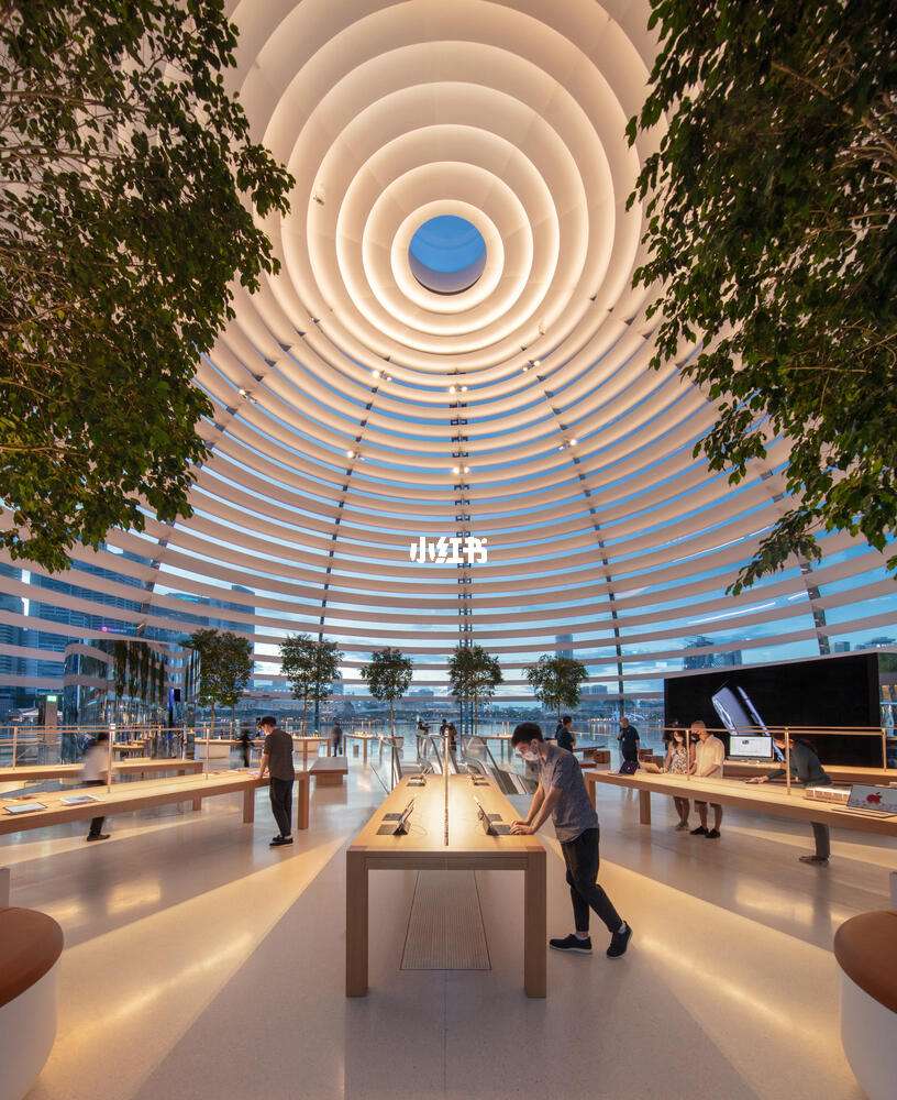 苹果8新加坡版与大陆版(iphone8新加坡版)-第6张图片-有道翻译官网